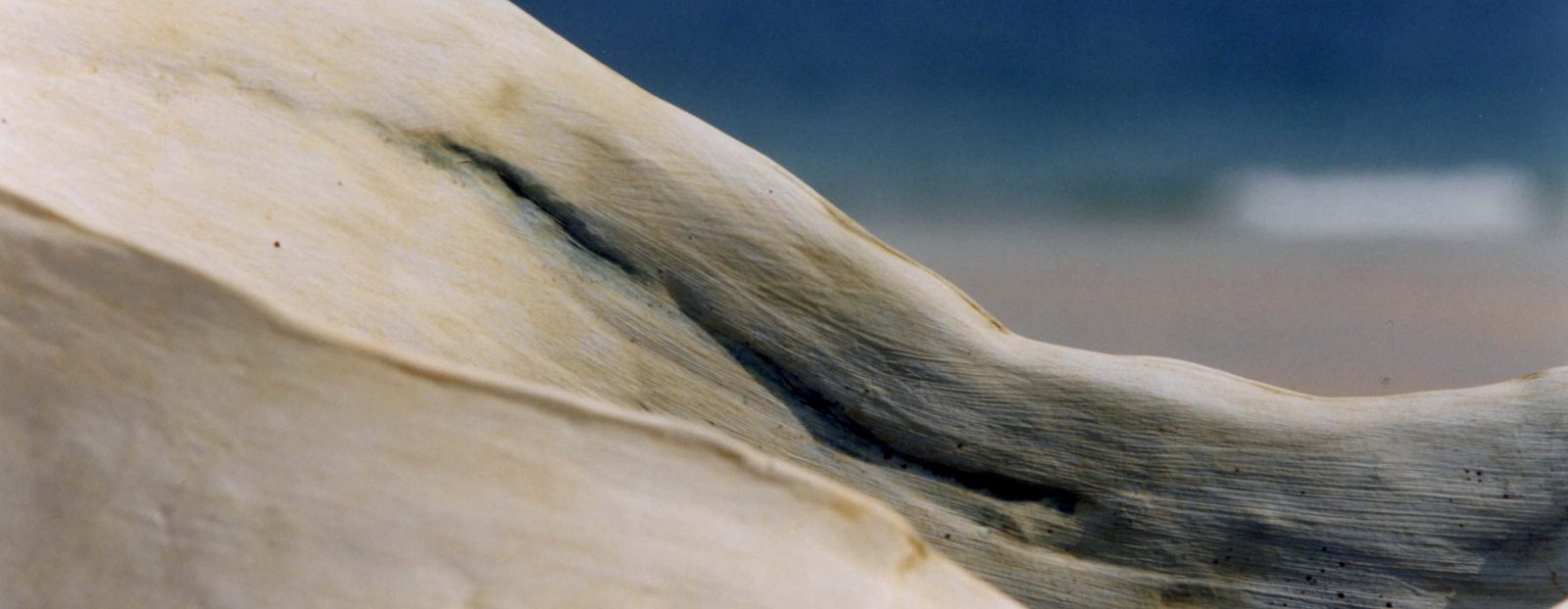 Close view of a pale ceramic surface with a fine dark brushed line, and the blue sea out of focus behind